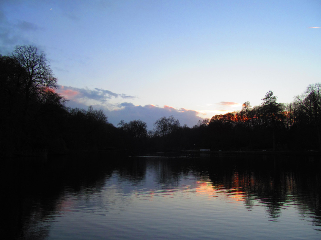 Botanical garden Rombergpark景点图片