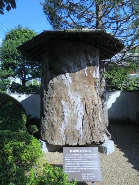 Hirakushi Denchu Art Museum-小平市必去景点