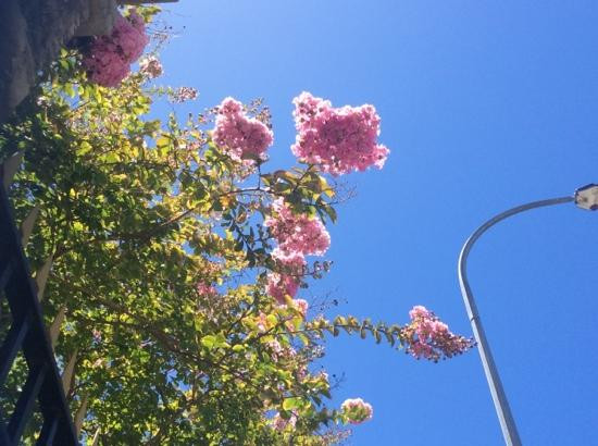 珀斯铸币厂-珀斯必去景点