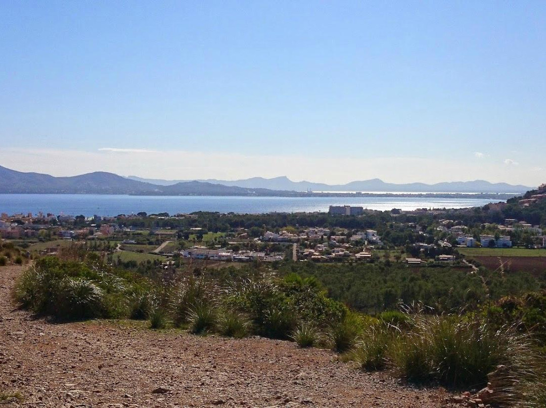 Playa del Puerto de Pollensa