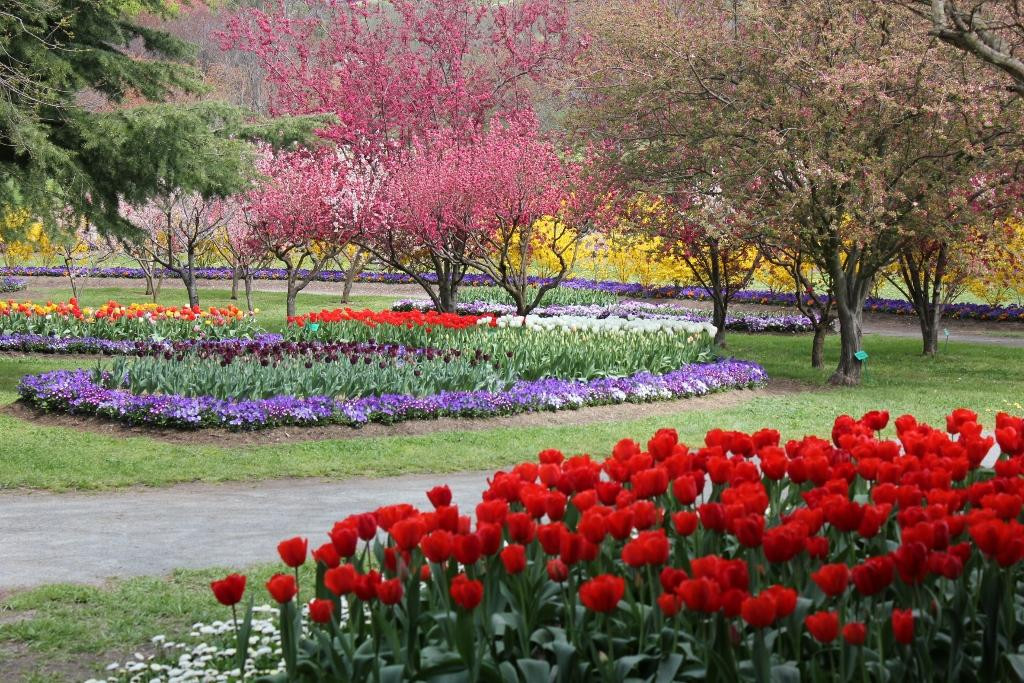 Tulip Top Gardens-Sutton必去景点