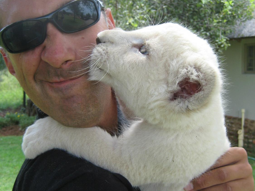 Loisico Tours and Excursions-Bloubergstrand必去景点