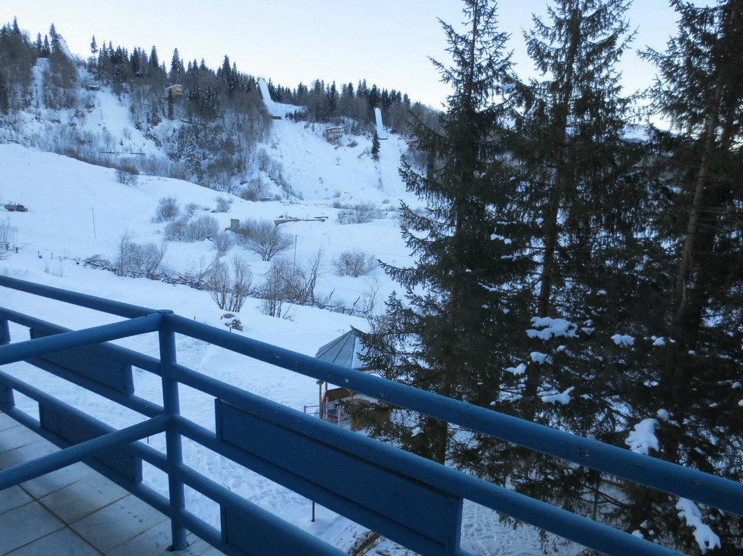 Premier Palace主图