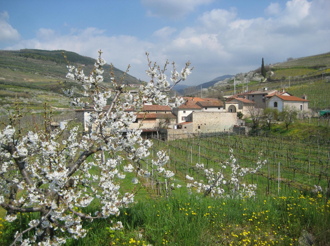 Bed and Breakfast Corte Caliari主图