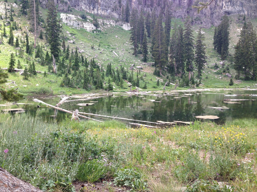 White Pine Lake-洛根必去景点