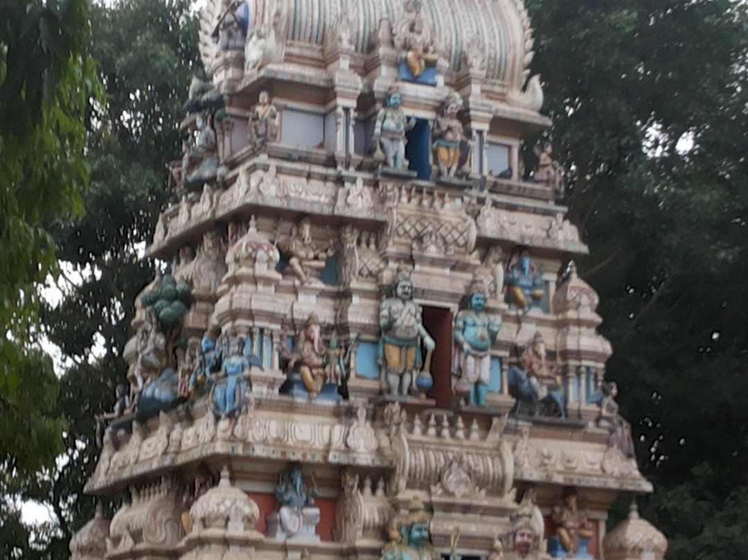 Shree Dodda Ganapathi Temple景点图片