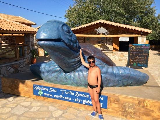 Zakynthos Turtle Rescue Center-瓦西里科斯必去景点
