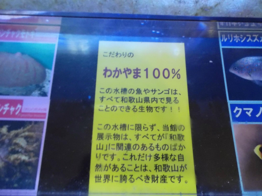 Wakayama Prefectural Museum of Natural History-海南市必去景点