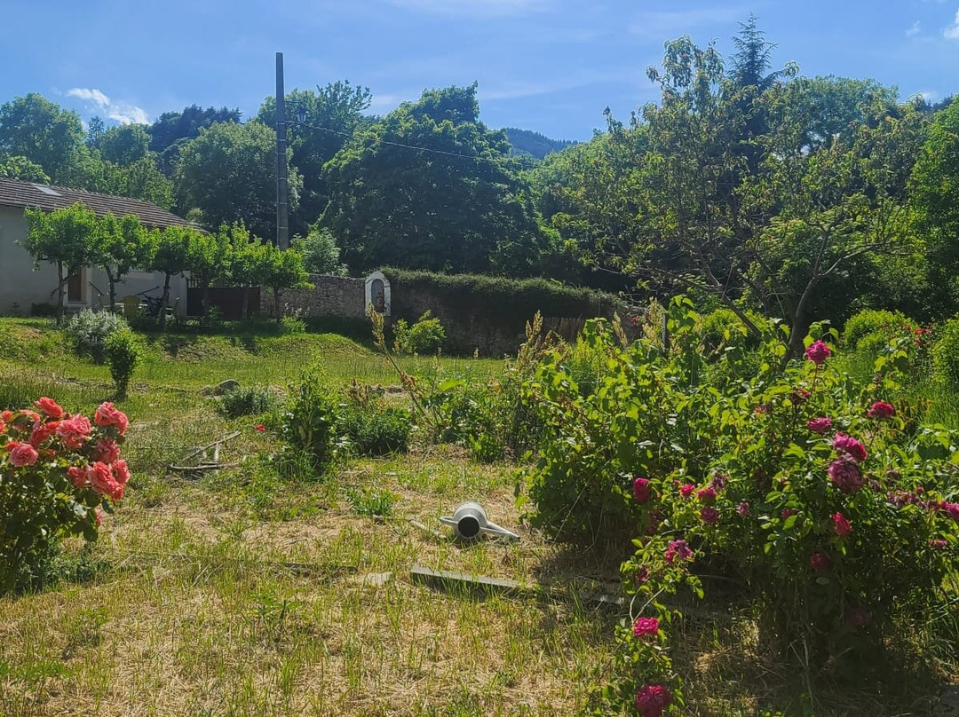 Domaine Sela