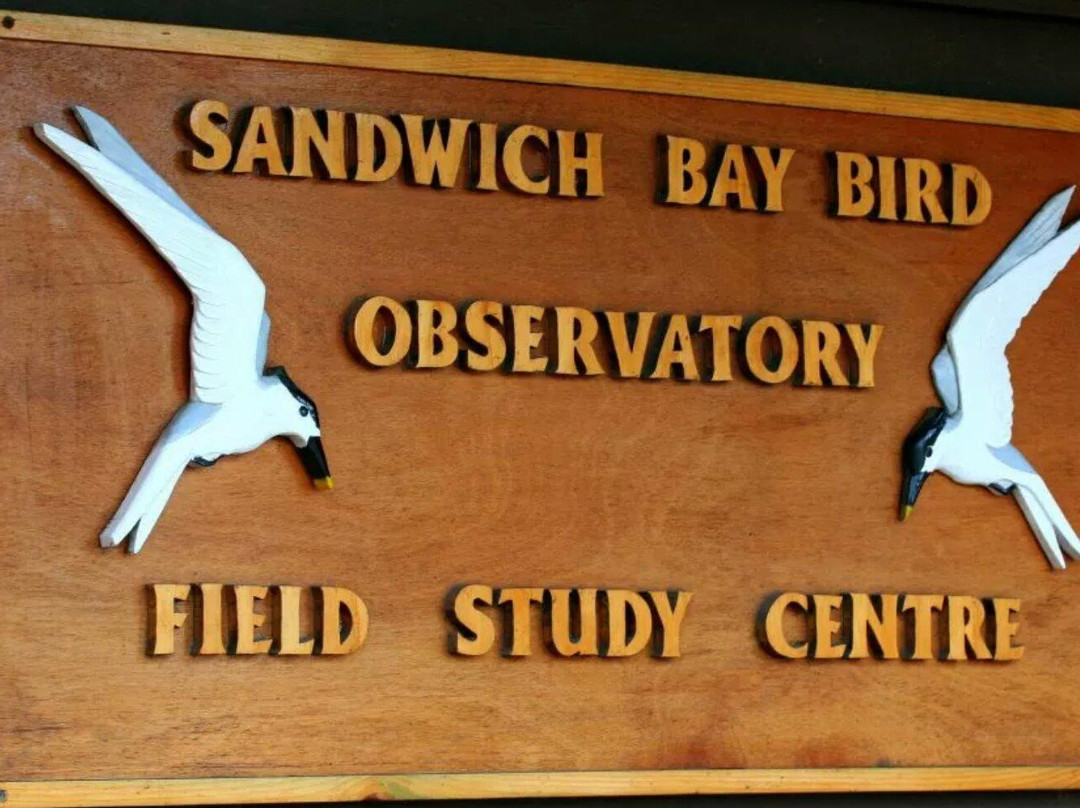 Sandwich Bay Bird Observatory-桑威治必去景点