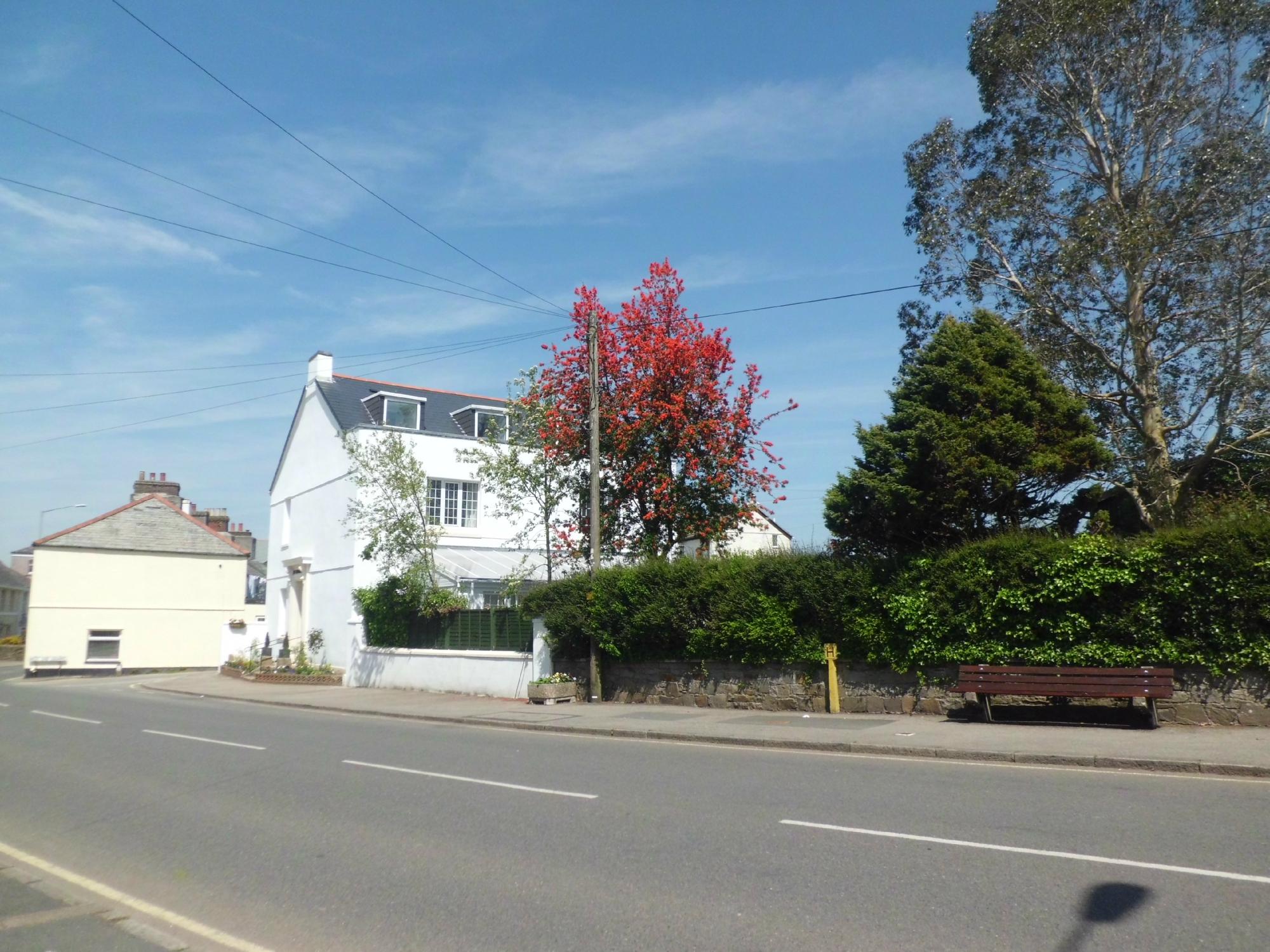 The Chantry Guest House Bed and Breakfast-官方