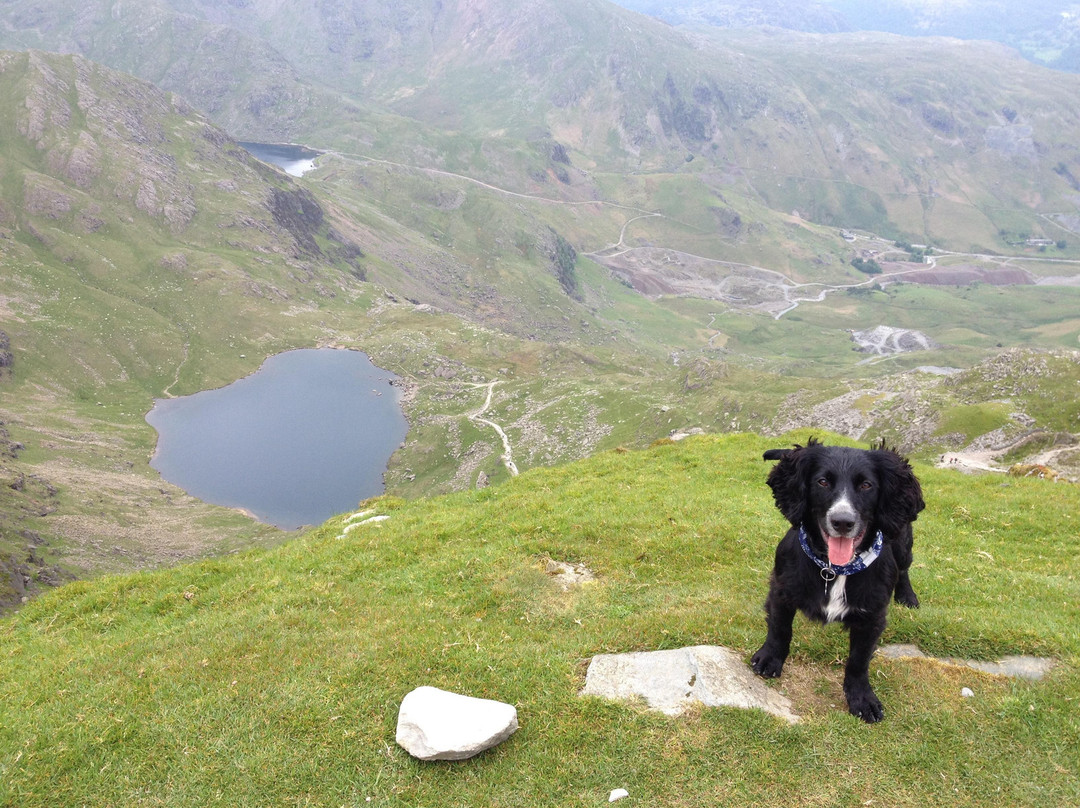 Old Man of Coniston景点图片