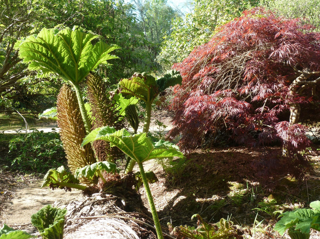 Parc Botanique de Cornouaille景点图片