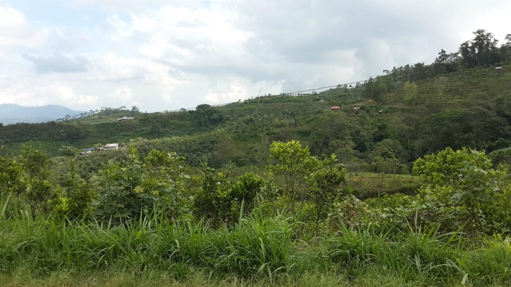 Bali Hideaway Bike-佩艳艮必去景点