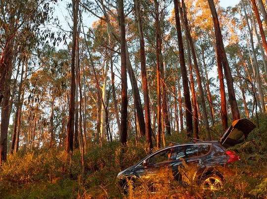 Lake Cobbler-Alpine National Park必去景点