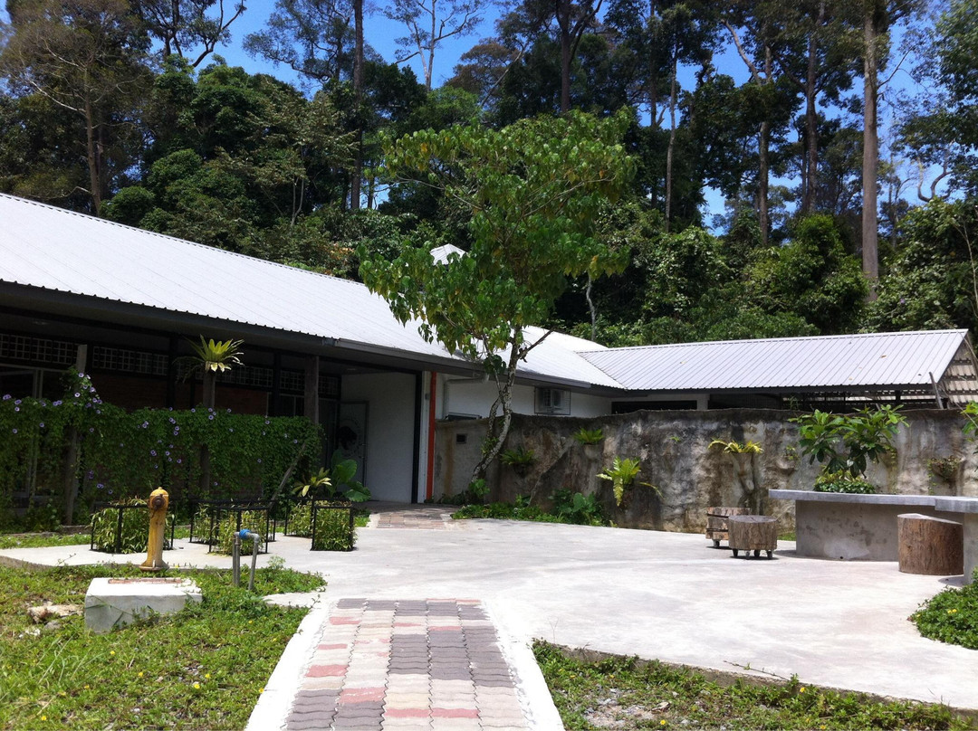 Bornean Sun Bear Conservation Centre-山打根必去景点