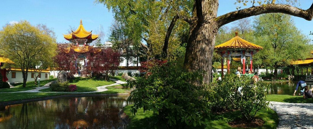 Jardin Chino De Zúrich-苏黎世必去景点