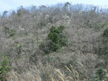 Ruri Valley Nature Park-南丹市必去景点
