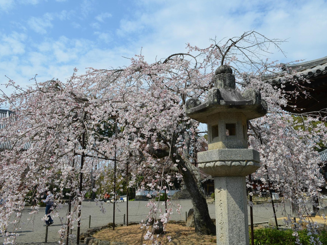 Dojoji Temple-日高川町必去景点
