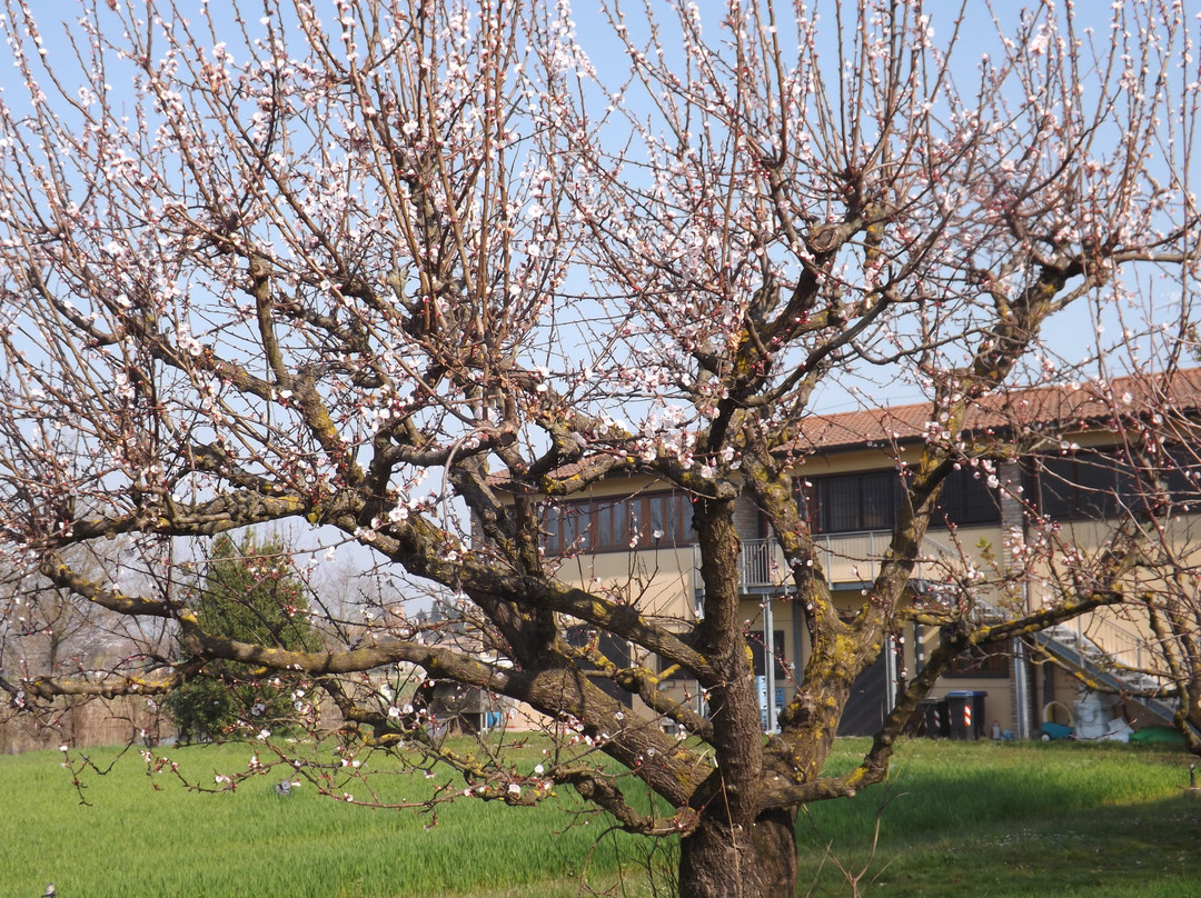 Lavino di Mezzo旅游攻略图片