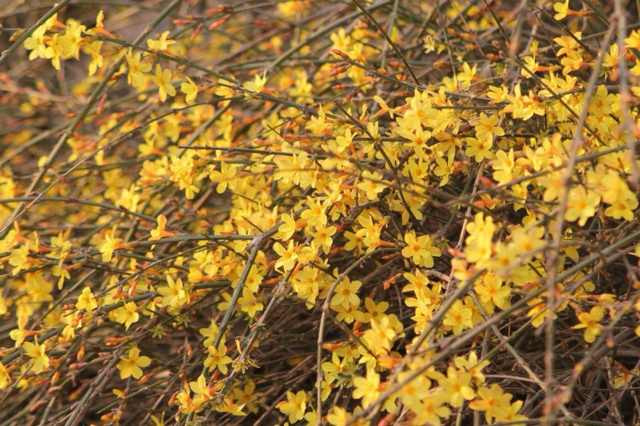 石家庄水上公园-藁城市必去景点