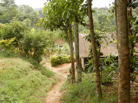 Materuni Tours-莫西必去景点