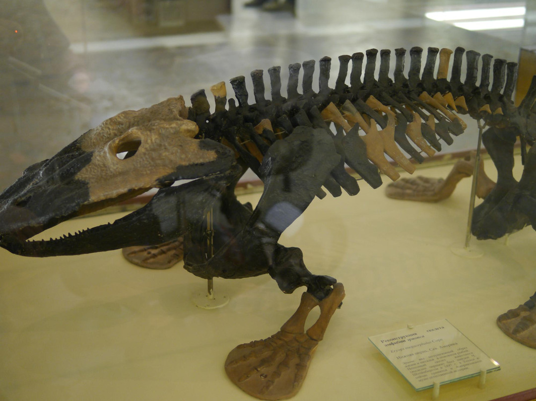 Orlov Paleontological Museum-莫斯科必去景点