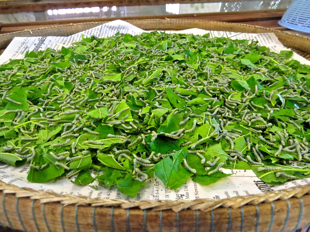 吴哥制丝场-Puok必去景点