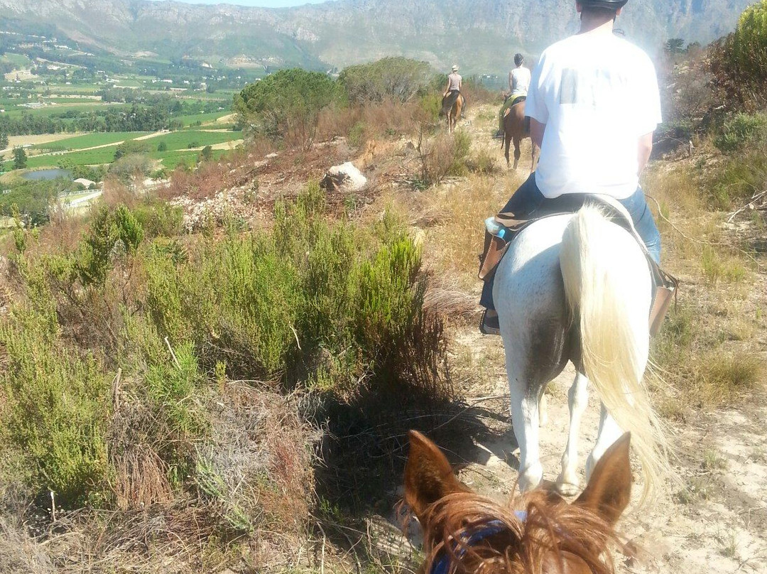 Paradise Stables-法兰舒克必去景点