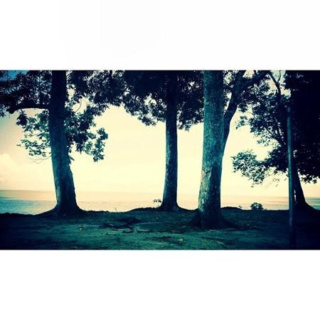 Ilha de Cotijuba-贝伦必去景点