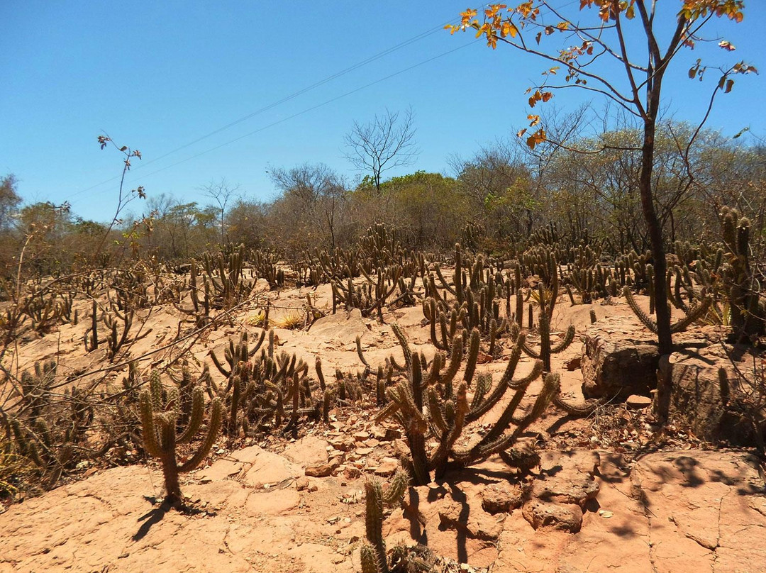 Geossitio Cachoeira de Missão Velha-Missao Velha必去景点