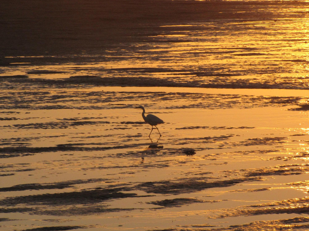 Siletz Bay Park-林肯城必去景点