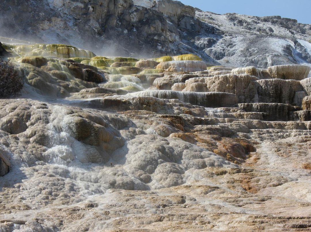 猛犸象温泉-黄石国家公园必去景点
