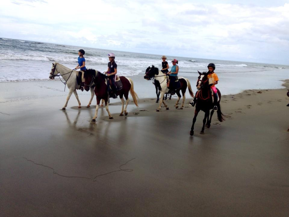 Costa Rica Equestrian Vacations - Day Programs景点图片
