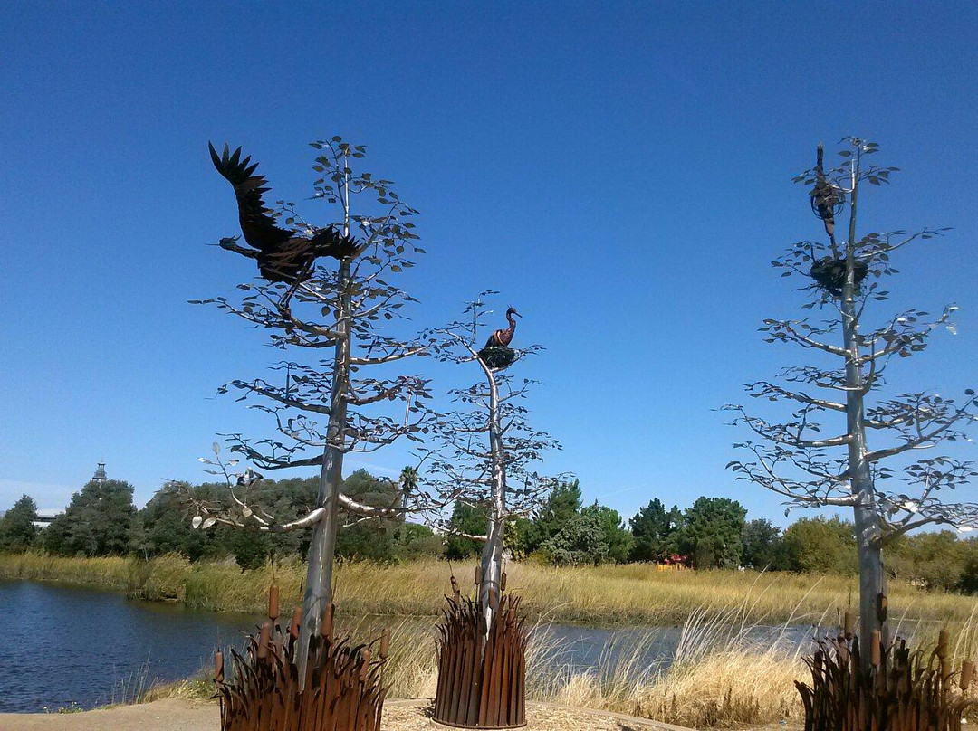 Suisun City Marina and Boat Ramp-Suisun City必去景点