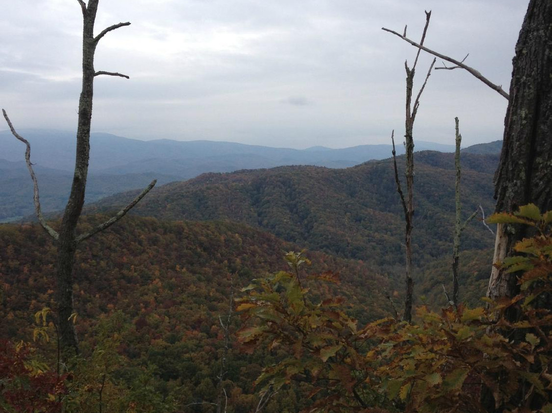 Buffalo Mountain Park-约翰逊城必去景点
