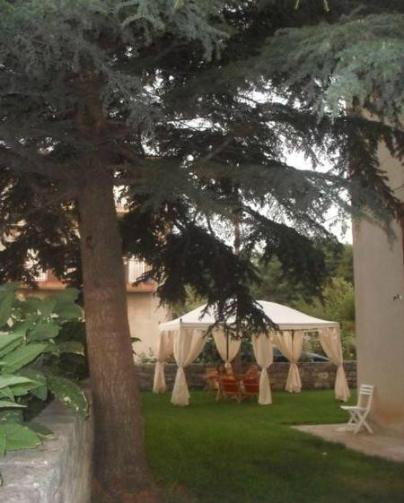 Bed and Breakfast Butterfly主图