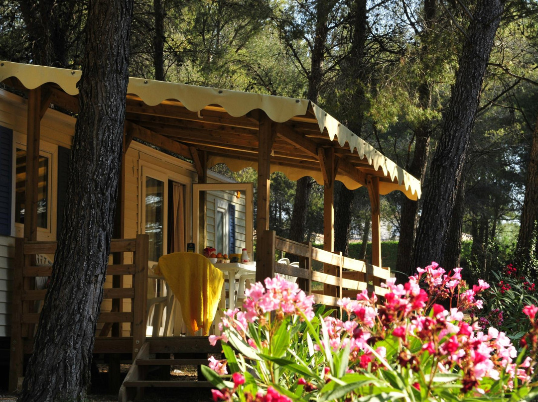 Camping les Dauphins