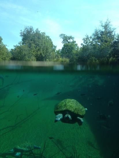 St. Patrick Cathedral-沃思堡必去景点