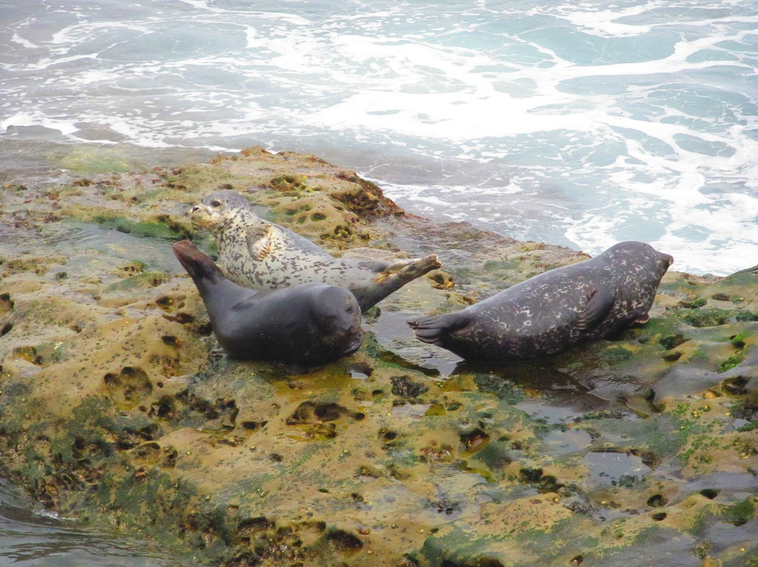 儿童泳池-拉荷亚必去景点