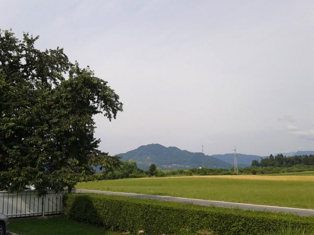 德茨曼住宿加早餐旅馆