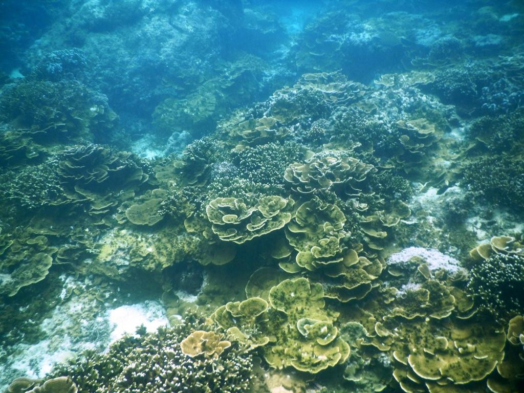 Entalula Island景点图片