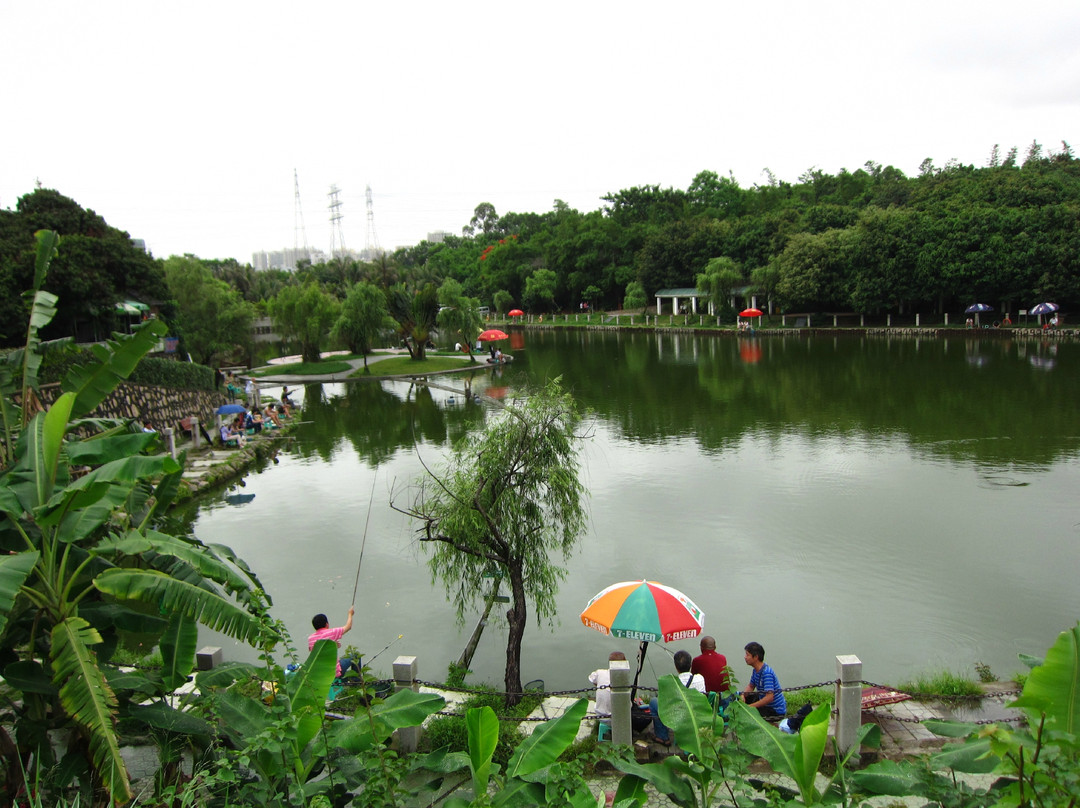 深圳莲花山公园-深圳市必去景点