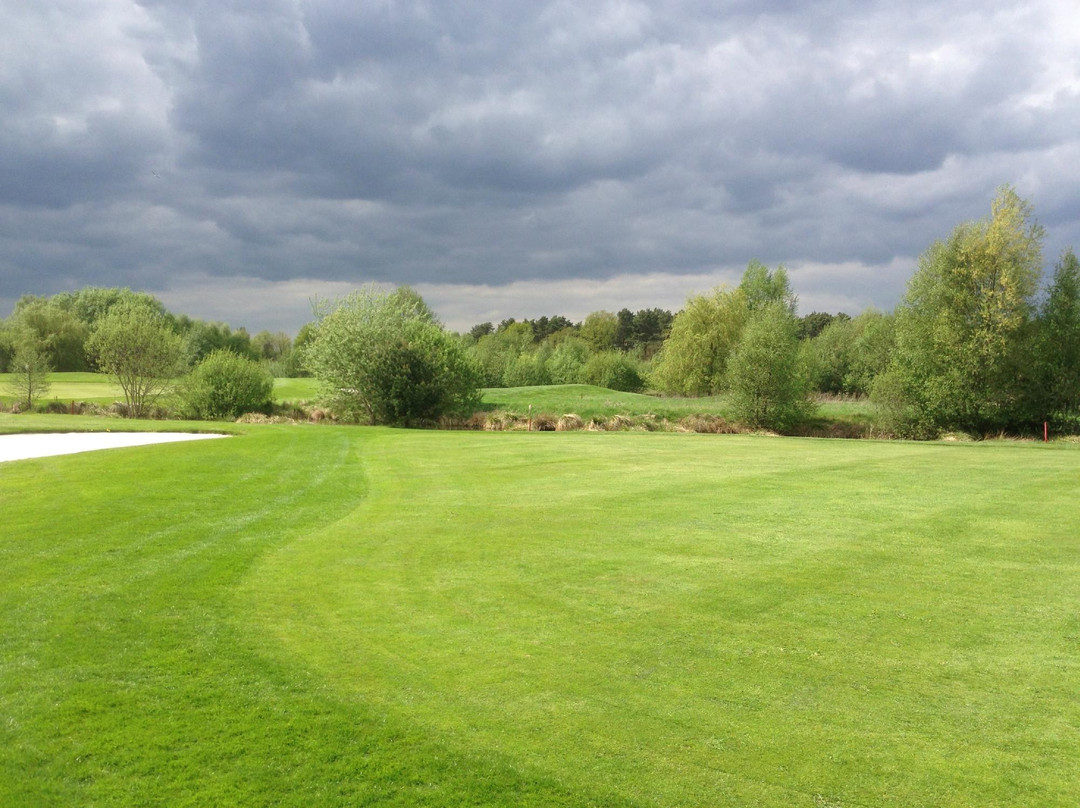 Golf Club Green Eagle