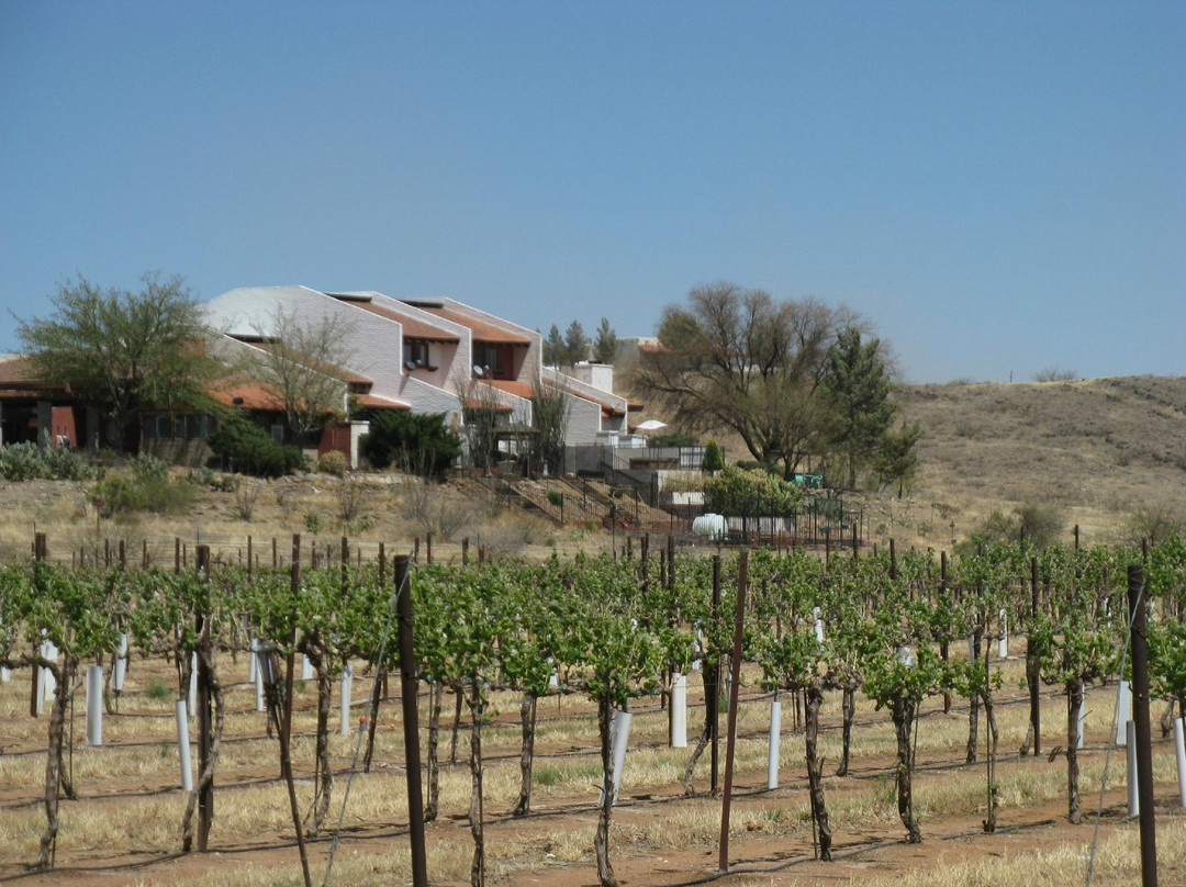 Coronado Vineyards-Willcox必去景点