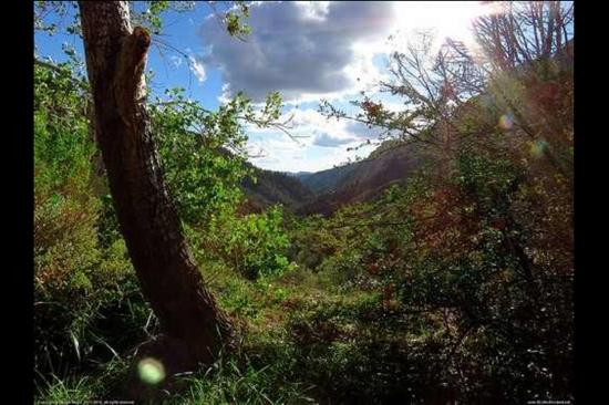 Tonto Natural Bridge State Park-Payson必去景点