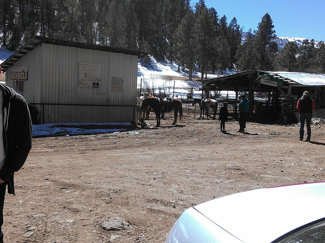 Bonito Stables-鲁伊多索必去景点