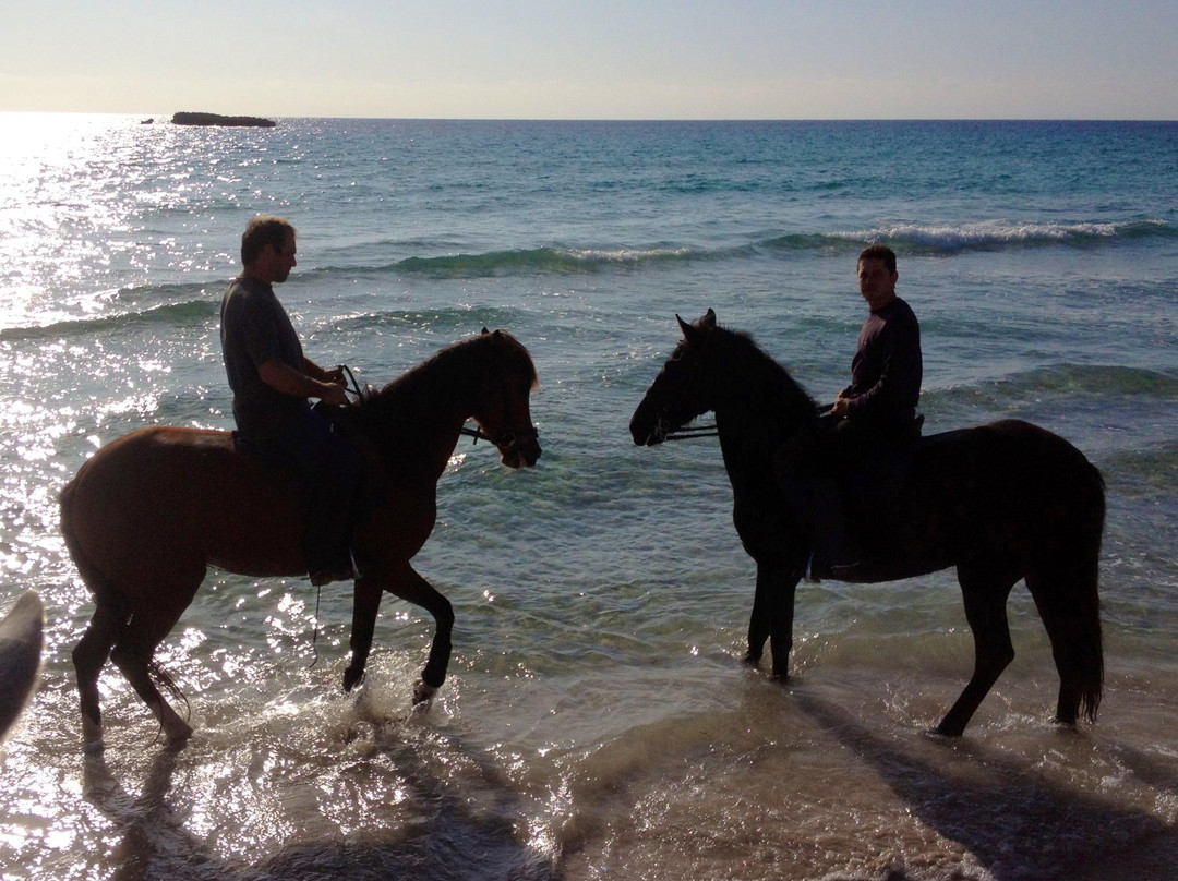 Son Bou Rutas A Caballo-阿拉约尔必去景点