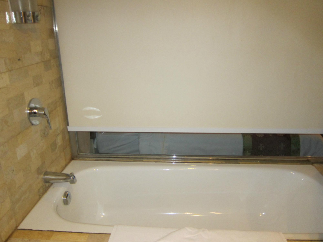 嘉绒大酒店主图