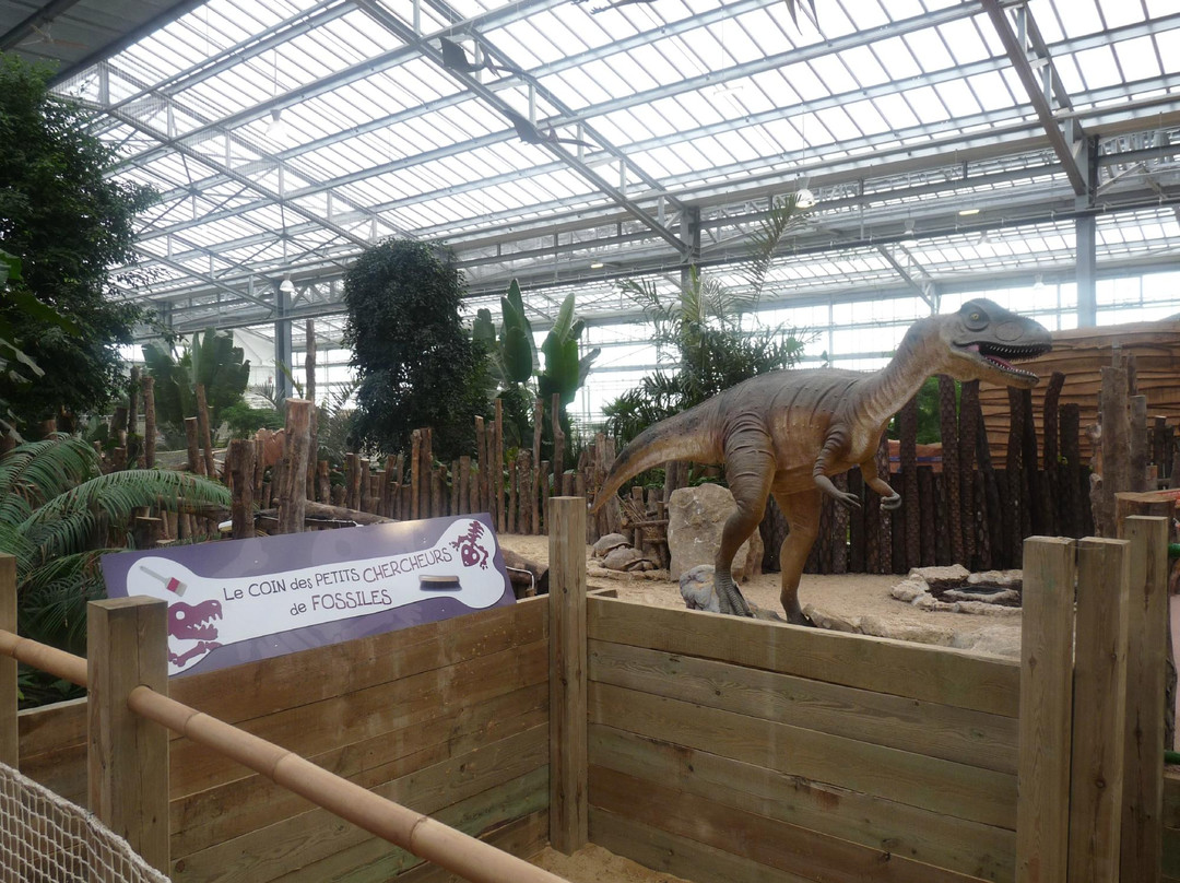 Les Jardins Animaliers Biotropica景点图片